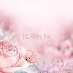 阿胶背景背景图片_粉色花朵化妆品主图背景素材