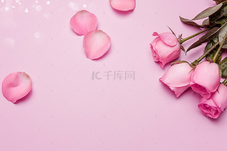 玫瑰背景图片_粉色清新唯美520玫瑰花瓣背景免费下载粉