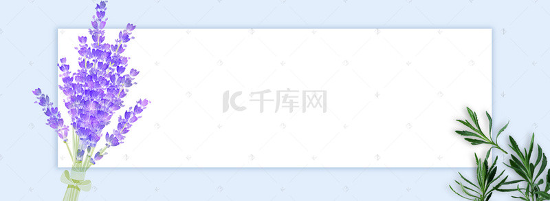 清新绿色夏季新品上市植物潮流时尚电商banner