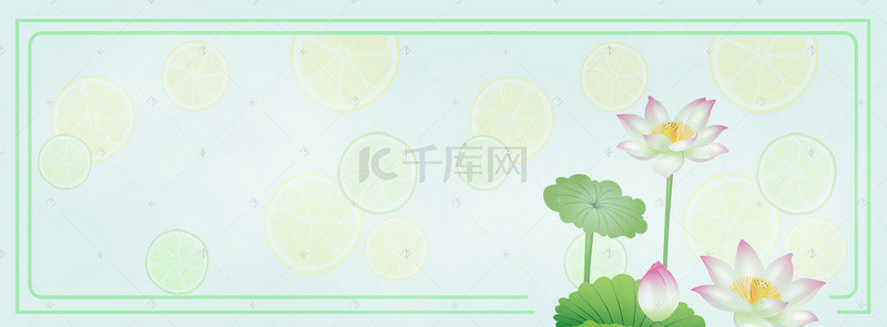 简单荷花banner