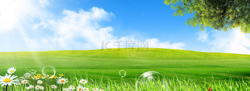 背景草原背景图片_清新绿色生态公园草坪背景