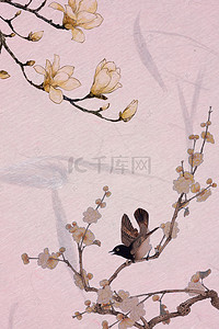 白花花的雪背景图片_简单鸟儿小白花主题背景