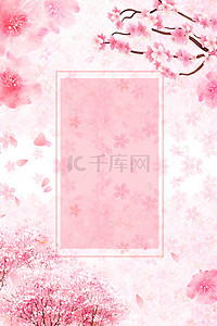 促销海报花朵背景图片_樱花节樱花树活动促销海报