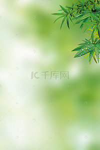绿色模糊背景图片_绿色渐变背景上的叶子H5素材背景
