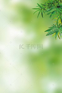 绿色渐变背景上的叶子H5素材背景