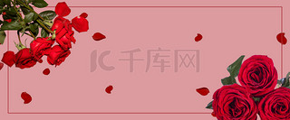 背景图片_红色浪漫玫瑰花数码店铺首页背景