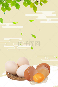 简约农家鸡蛋生态食品宣传海报背景psd