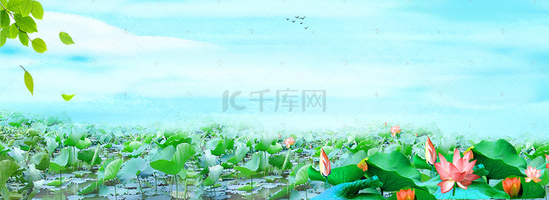 蓝天白云荷花鱼池banner