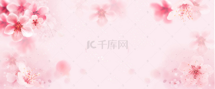 清新花朵唯美浪漫背景图片_唯美浪漫中国风粉色樱花