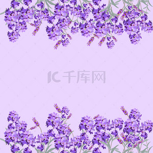 浪漫紫色花朵主图背景素材