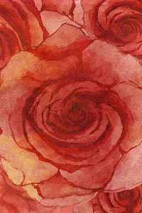 鲜艳红玫瑰花朵背景
