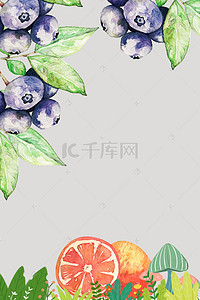 蓝莓水果背景图片