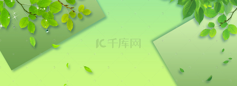 小清新背景背景图片_小清新简约绿叶背景banner