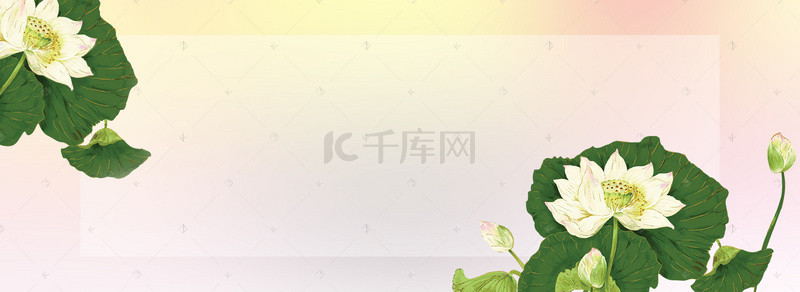 光效中国风背景图片_中国风美丽花瓣下的白莲花背景素材
