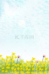 相约春季背景图片_蓝色清新春季踏青油菜花背景