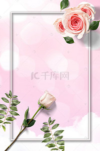 七夕粉色玫瑰花背景图片