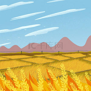 淘宝主图黄色背景背景图片_金色麦田粮食淘宝电商主图