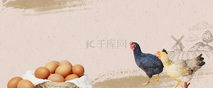 美食背景图片_简约中国风土鸡土鸡蛋美食海报