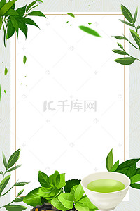 新茶春茶海报背景图片_生态绿茶白色简约促销海报