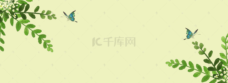 春天纯色背景图片_春天蝴蝶飞舞banner