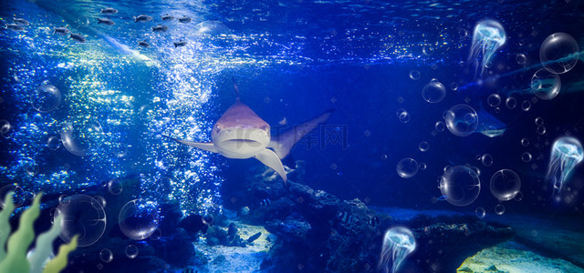 捕鱼背景图片_海底世界海洋生物