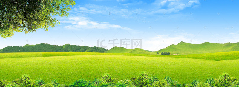 内蒙大草原牛羊背景图片_大气绿色生态草原蓝天背景