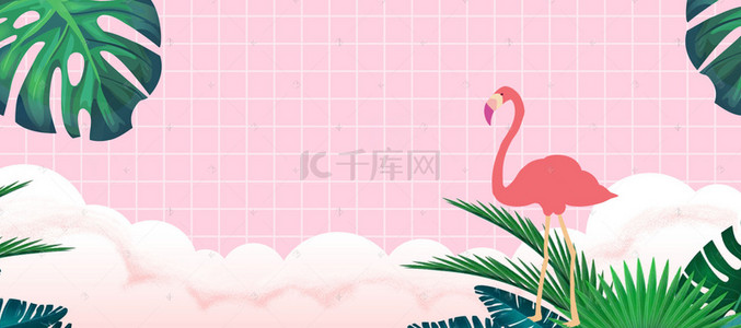 芭蕉叶花背景图片_ins风火烈鸟芭蕉叶粉色banner背景