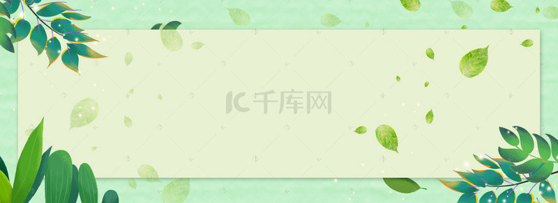 清新绿植banner