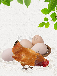 母鸡鸡蛋新鲜土鸡蛋宣传海报背景素材