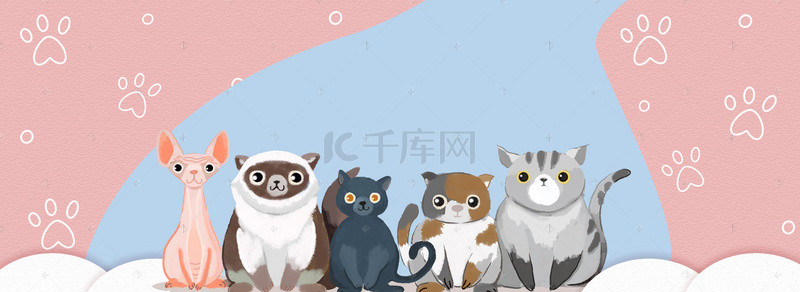 猫粮背景图片_淘宝天猫可爱手绘宠物海报背景