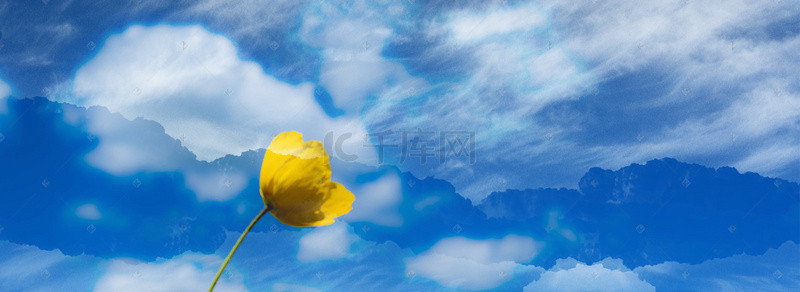 云彩背景图片_蓝天下一朵黄色的花
