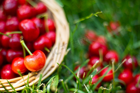 时令水果夏季红灯笼樱桃草地上篮子里摄影图配图