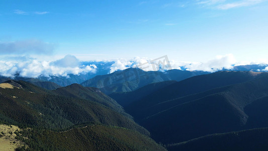 航拍中国西部高原冷杉树原始森林祖国风光山脉