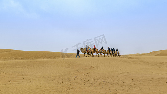 沙漠驼队上午驼队春季素材摄影图配图