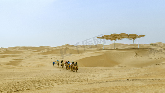 库布其沙漠上午驼队春季素材摄影图配图