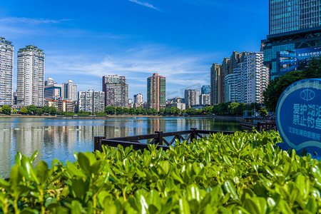 武汉城市建筑晴天建筑群西北湖俯拍摄影图配图