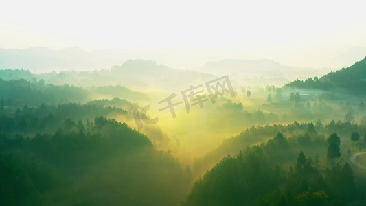 摄影照片_唯美清晨森林云雾缭绕风景