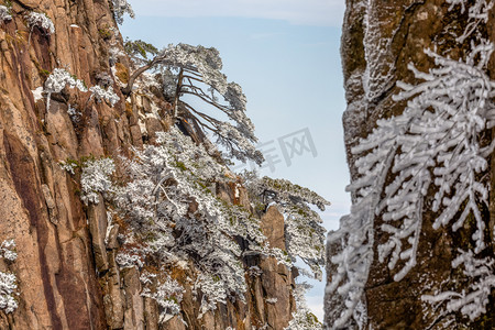 雪景松树山峰摄影图