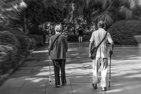 老年夫妻并肩在公园散步