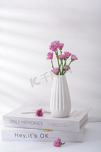 鲜花白天小雏菊花瓶放置摄影图配图