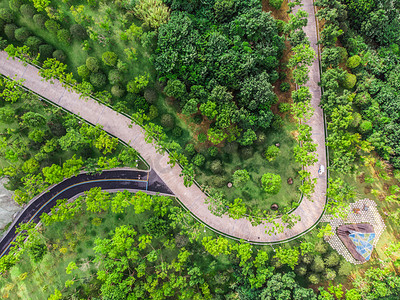 绘蓝色清新简约摄影照片_清新树木道路俯拍航拍摄影图森林