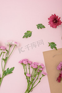 粉色甜蜜情人节摄影照片_静物白天鲜花粉色背景上摆放摄影图配图