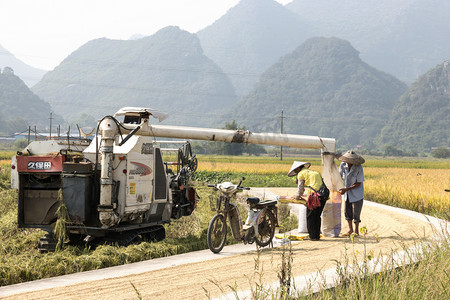 收割机收割水稻农民装稻谷摄影图