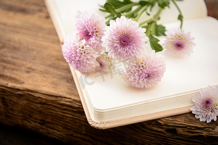 植物白天小雏菊木桌书籍摆放摄影图配图