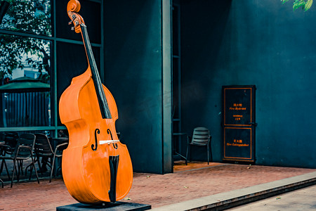 古典烫金边框摄影照片_文艺大提琴复古音乐乐器摄影图配图