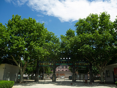 建党100年纪念白天烈士陵园蓝天树阴下风光摄影图配图