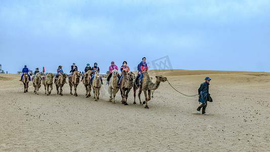 驼队摄影照片_驼队上午骆驼夏季素材摄影图配图