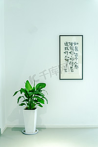 文艺白天绿植与画墙壁摆放摄影图配图