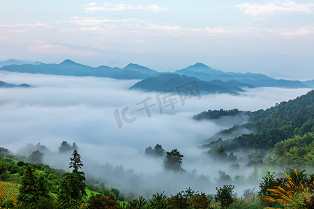 黄山夏天摄影照片_渡假凌晨山峰山区漂动摄影图配图