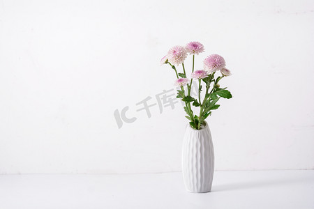植物白天花瓶花朵白色背景摆放摄影图配图